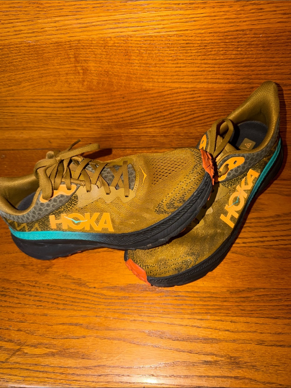 Hoka Men's Olive Green Running Shoes with Blue & Peach Accents